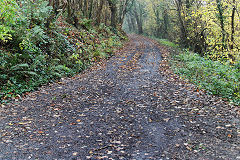 Halls Road Kendon branch, now the access lane to 'Ivy Cottage', November 2020
