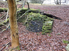 Sychpant Farm, Mynyddislwyn, January 2014