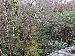 The TVER at Pennar Lane, Newbridge, January 2018