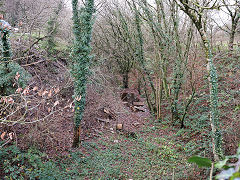 The TVER at Pennar Lane, Newbridge, January 2018