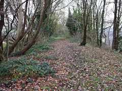 
The TVER at Treowen, Newbridge, January 2018