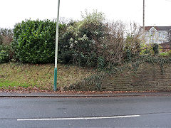 Twyngwyn Colliery loading bank on Halls Road Kendon branch, Newbridge, November 2020