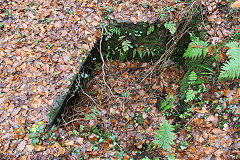 Trial shaft near Twyngwyn Colliery, Newbridge, November 2020