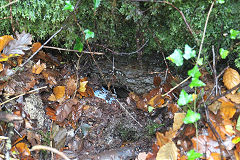 Trial shaft near Twyngwyn Colliery, Newbridge, November 2020