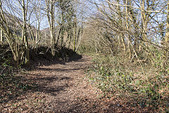 
Halls Road Tramroad, Chapel Bridge crossing looking North, Cwmcarn, March 2015