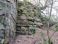 
Cwmcarn Quarry, April 2023