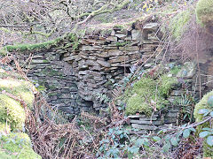 
Cwmcarn Quarry, April 2023