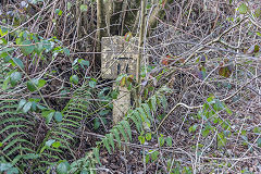 
Halls Road Tramroad, A milepost near Chapel Bridge crossing, Cwmcarn, March 2015