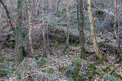 Middle incline, Pont Hall Quarry, Cwmcarn, March 2015