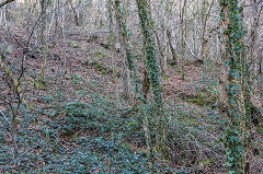 
Upper incline, Pont Hall Quarry, Cwmcarn, March 2015