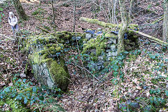 Pont Hall Quarry shelter, Cwmcarn, March 2015