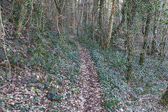 
Tramway from trial workings, Pont Hall Quarry, Cwmcarn, March 2015