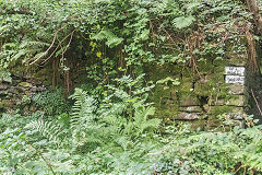 Loading bank at Halls Road siding, Pont Hall Quarry, Cwmcarn, August 2020