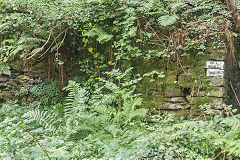 
Loading bank at Halls Road siding, Pont Hall Quarry, Cwmcarn, August 2020