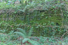 
Loading bank at Halls Road siding, Pont Hall Quarry, Cwmcarn, August 2020