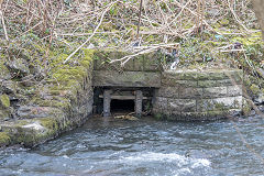 Riverbank drainage channels, Cwmcarn, March 2016