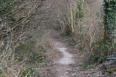 Halls Road railway trackbed at York Place, Cwmcarn, March 2016