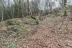 Cwm Pennar level, April 2016