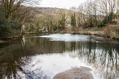 
The Distillery Pond, Abercarn, April 2016