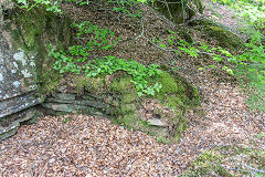 Foresters shelter or hut, Nant Gwyddon Valley, Abercarn, May 2019