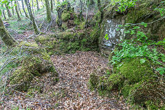 Foresters shelter or hut, Nant Gwyddon Valley, Abercarn, May 2019