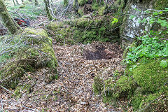 Foresters shelter or hut, Nant Gwyddon Valley, Abercarn, May 2019