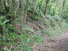Other Gwyddon trial levels, Abercarn, May 2023