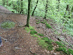 Other Gwyddon trial levels, Abercarn, May 2023