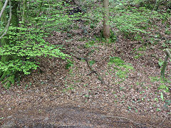 Other Gwyddon trial levels, Abercarn, May 2023
