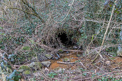 
Prince of Wales Colliery drainage level, Abercarn, March 2016