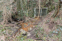 Prince of Wales Colliery drainage level, Abercarn, March 2016