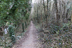 The Colliery sidings were to the right of the footpath, Abercarn, March 2016