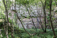 Swffryd Quarry (Monks), September 2015
