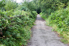 The line to Royal Oak Junction, Swffryd, Auguct 2019