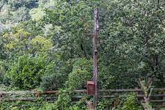 
The signal post on the line to Royal Oak Junction, Swffryd, Auguct 2019