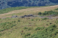 'Five Houses' above Tillery level, Abertillery, August 2020