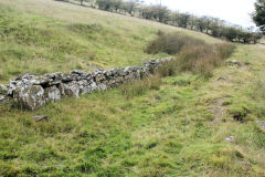 
Track below Blaenllan Bungalow, Six Bells, October 2010