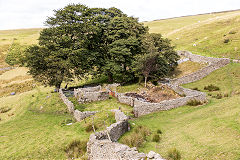 
Blaentillery old farm, September 2015