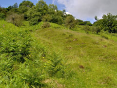 Brunant incline, June 2009