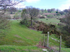 
Tip near Cefn Coed No 3 Level, April 2009