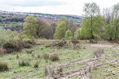 
A level at Trinant, possibly Cefn Coch No 3, April 2017