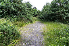 
Rosemont or Clynmawr Colliery, June 2014