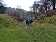 
Coed Trinant quarry, June 2009