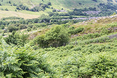 
Coedcae Tillery, the level at the very end, Abertillery, June 2014