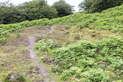 
No 2 level Coedcae Tillery Colliery, Abertillery, June 2014