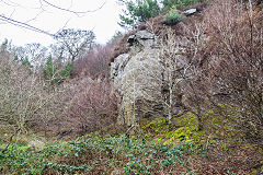 Quarry at Coedcae Tillery Colliery, January 2015