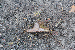 No 3 level, Coedcae Tillery Colliery, possible rail or tramplate, January 2015