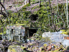 
Ruins near the Ivorites, March 2009