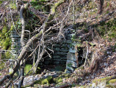 Ruins near the Ivorites, March 2009