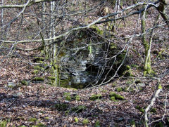 
Ruins near the Ivorites, March 2009